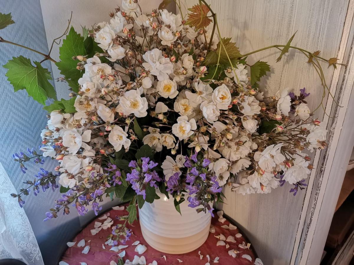 Auszeit Apartment Freital Luaran gambar