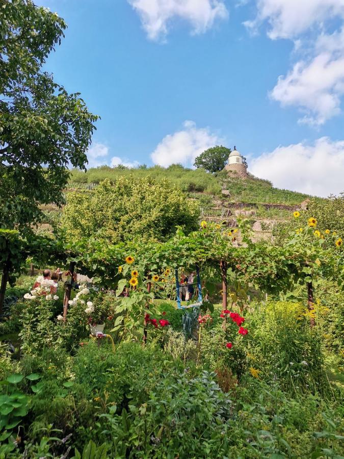 Auszeit Apartment Freital Luaran gambar