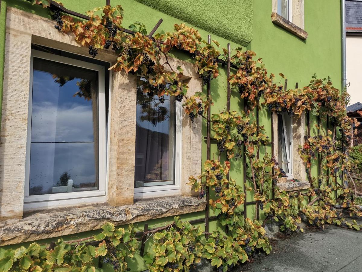Auszeit Apartment Freital Luaran gambar